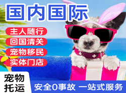 乌兰察布航空托运国际宠物托运 【国